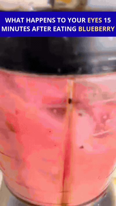 Dr. Wang Blueberry Protocol